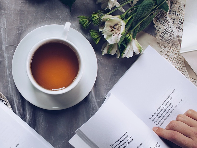 kerala tour agent top in kochi kerala