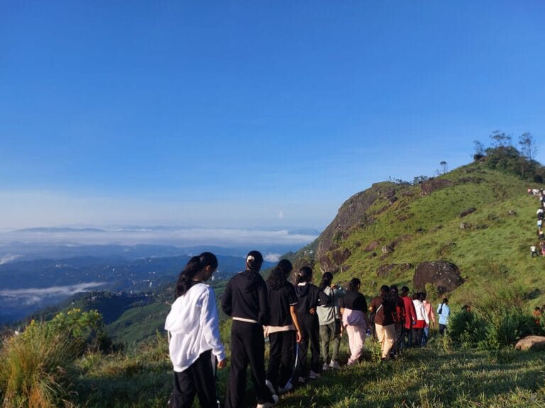 Munnar hill station Kerala