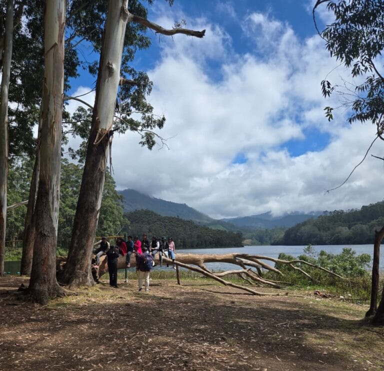 Kerala Tourist Places Tourists exploring scenic Kerala Tour Destination Munnar 
