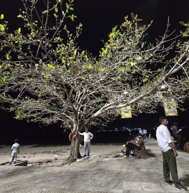 Historic Fort Kochi beach and fishing nets in Kerala