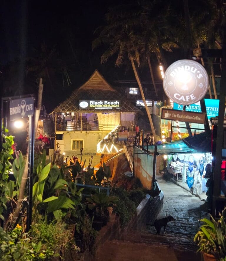 Varkala Cliff overlooking the Arabian Sea in Kerala